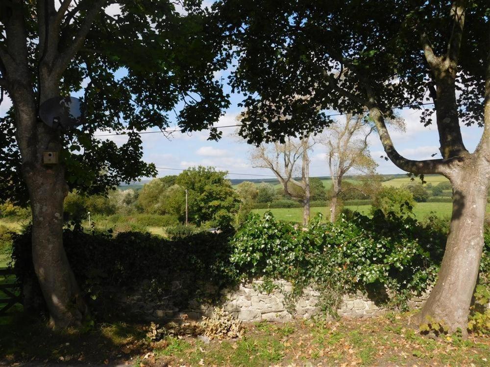 Follis Cottage Weymouth Exteriör bild